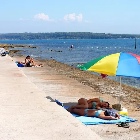 Apartment By The Sea Novigrad - 7335